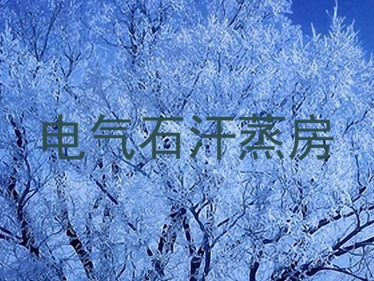 电气石汗蒸房