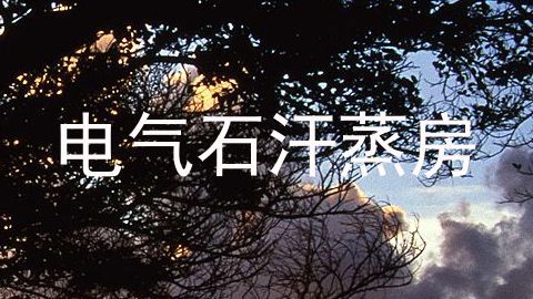 电气石汗蒸房