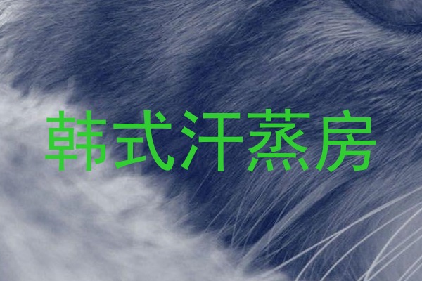 韩式汗蒸房