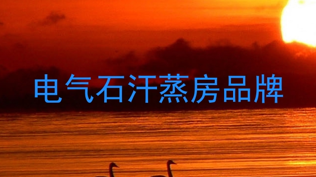 电气石汗蒸房品牌