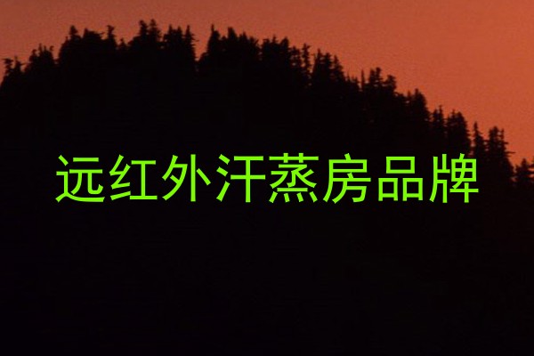 远红外汗蒸房品牌