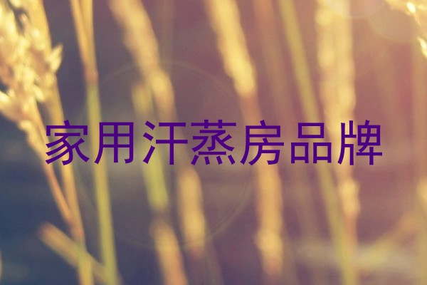 家用汗蒸房品牌