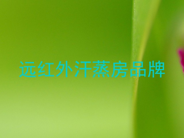 远红外汗蒸房品牌