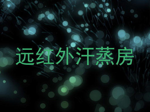 远红外汗蒸房