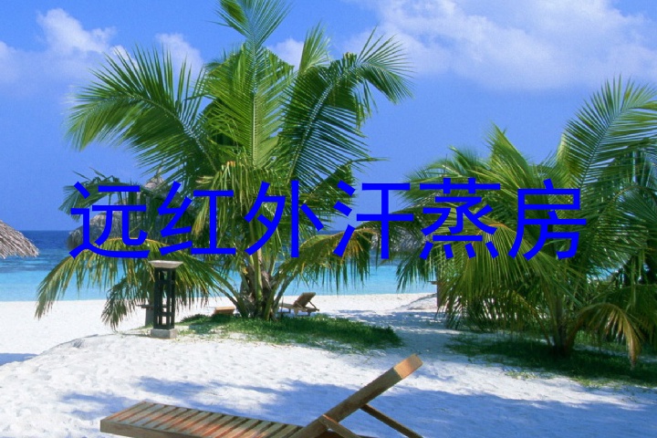 远红外汗蒸房