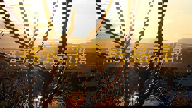 韩式汗蒸房品牌