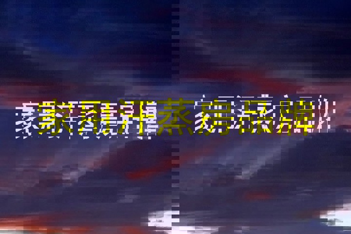 家用汗蒸房品牌