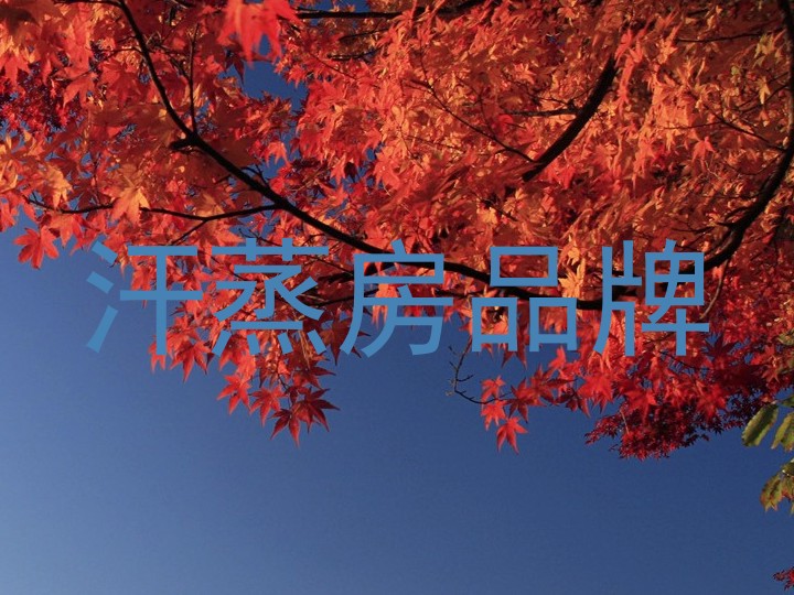 汗蒸房品牌