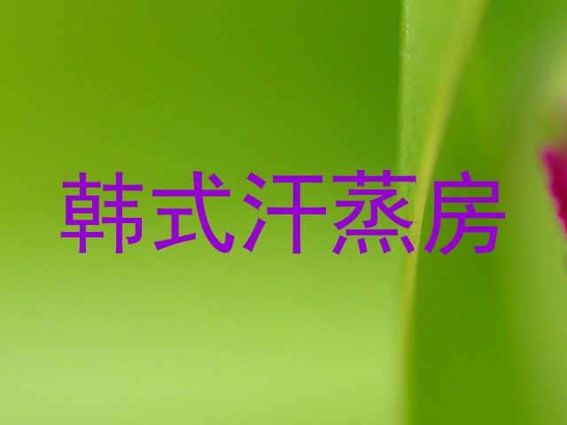 韩式汗蒸房