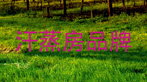 汗蒸房品牌