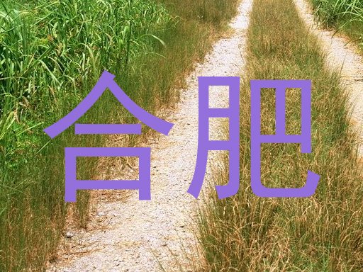 合肥