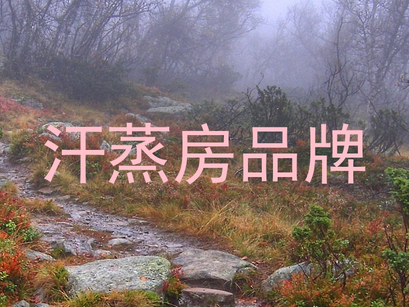 汗蒸房品牌
