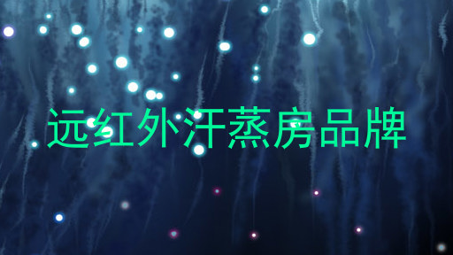 远红外汗蒸房品牌