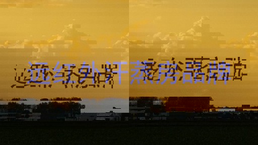 远红外汗蒸房品牌