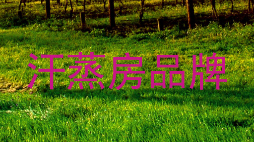 汗蒸房品牌