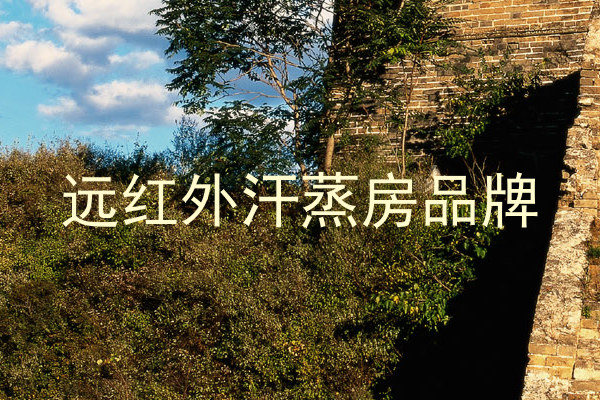 远红外汗蒸房品牌