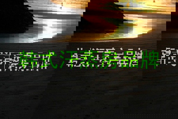 韩式汗蒸房品牌