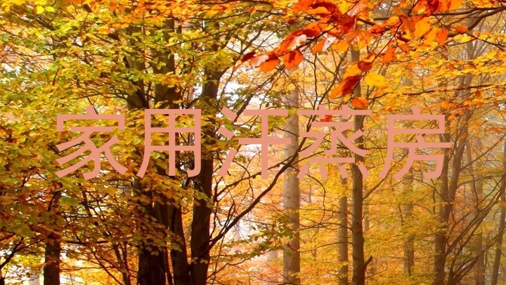 家用汗蒸房