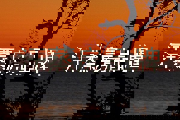 汗蒸房品牌