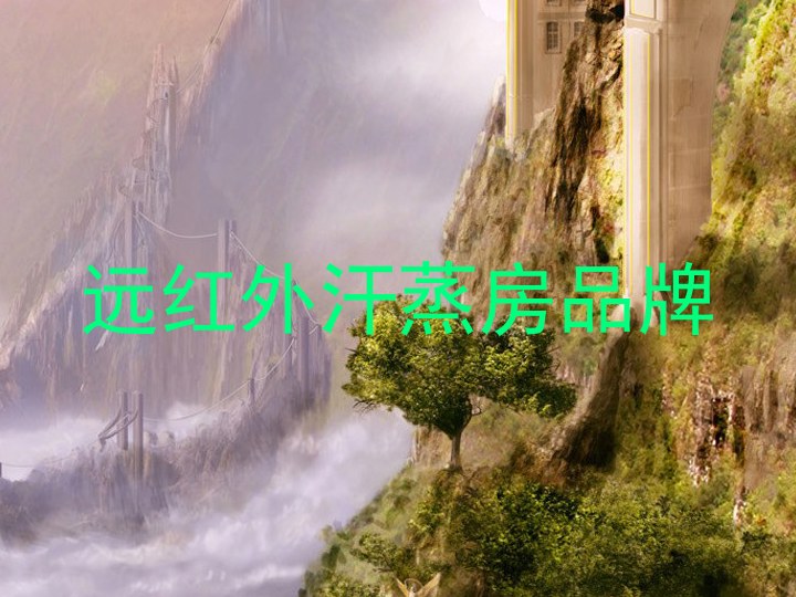 远红外汗蒸房品牌