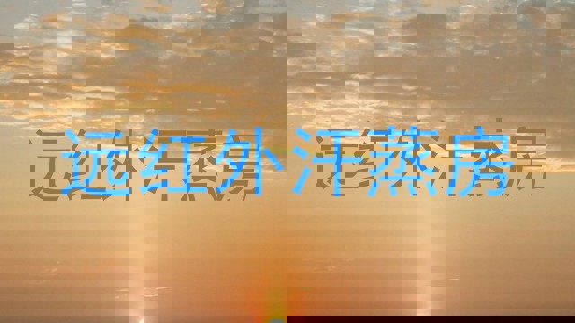 远红外汗蒸房