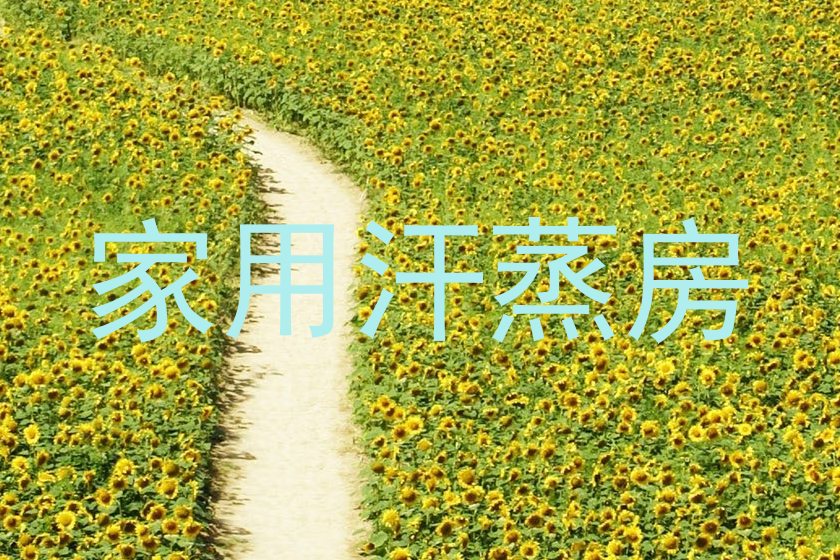 家用汗蒸房