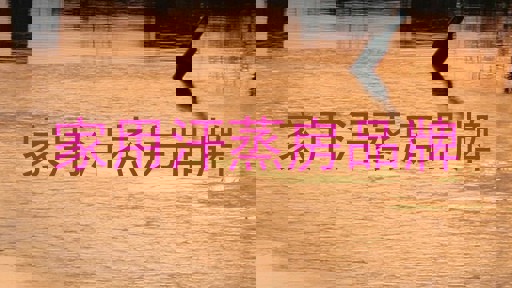 家用汗蒸房品牌