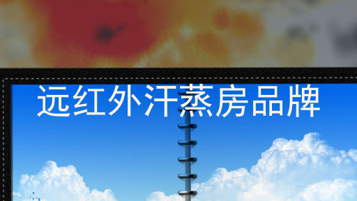 远红外汗蒸房品牌
