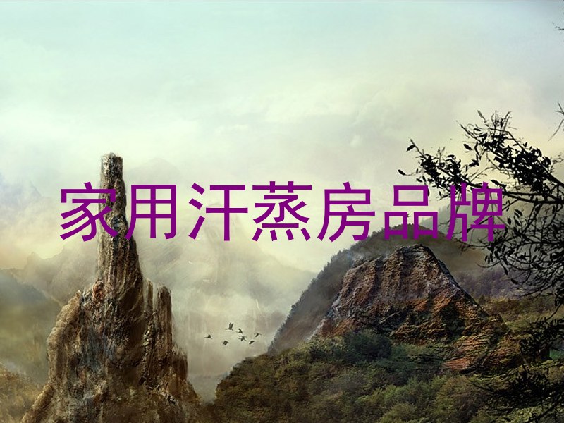 家用汗蒸房品牌