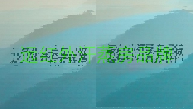 远红外汗蒸房品牌