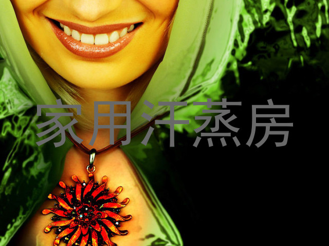 家用汗蒸房
