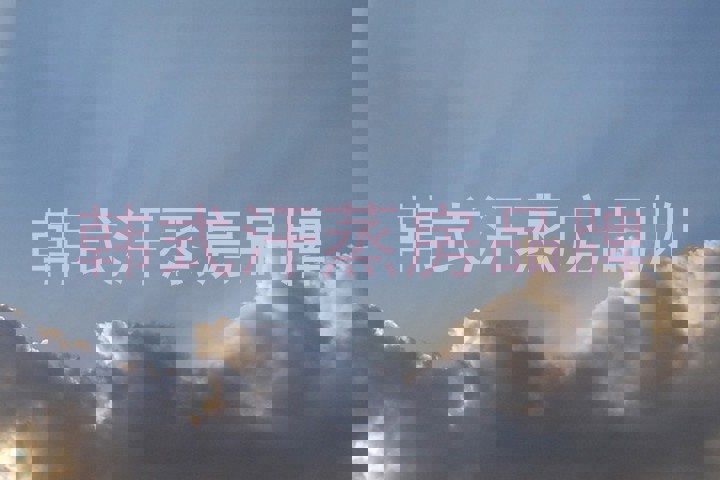 韩式汗蒸房品牌