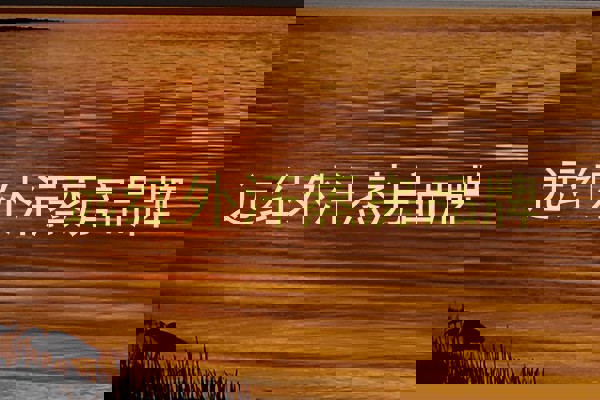 远红外汗蒸房品牌