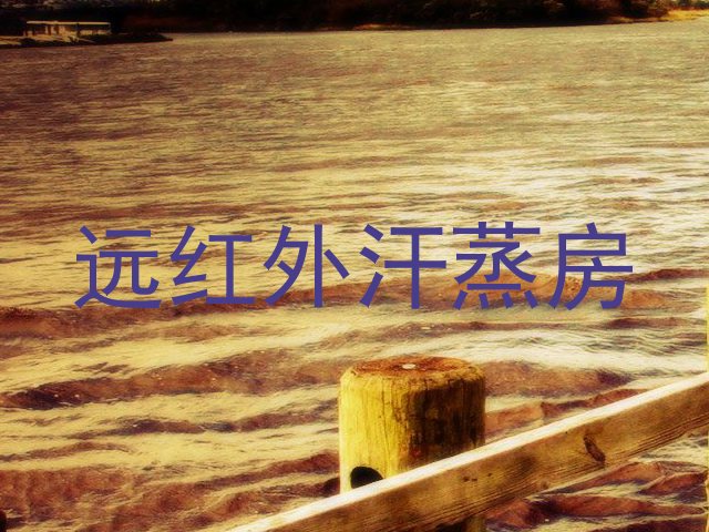 远红外汗蒸房