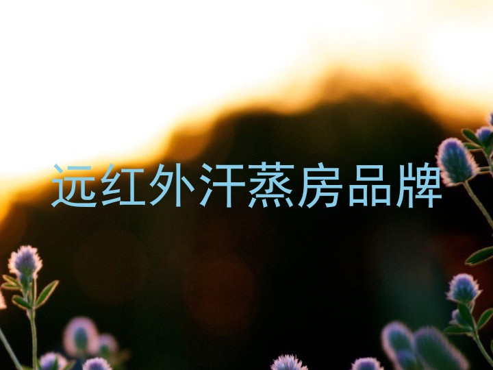 远红外汗蒸房品牌
