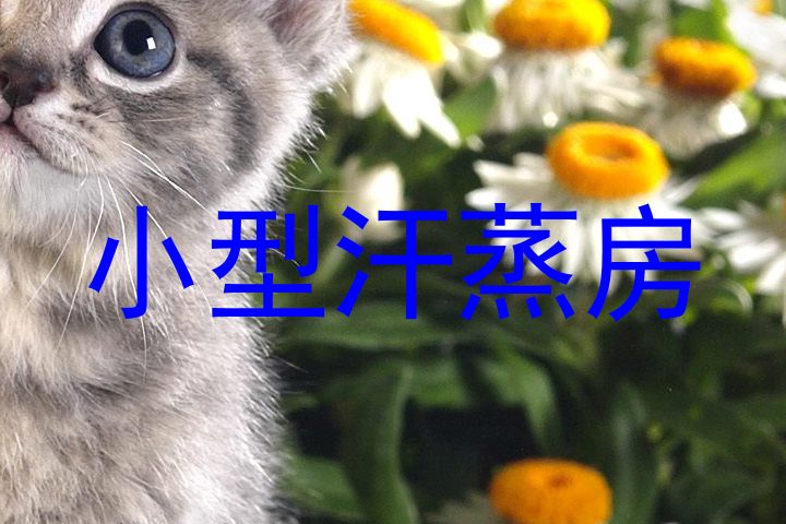 小型汗蒸房