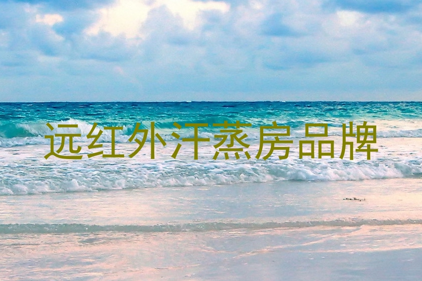 远红外汗蒸房品牌