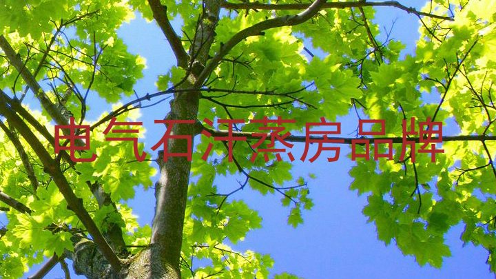 电气石汗蒸房品牌