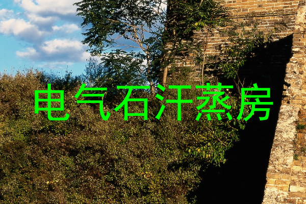 电气石汗蒸房