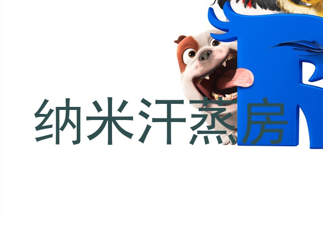 纳米汗蒸房