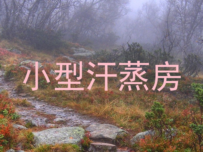 小型汗蒸房