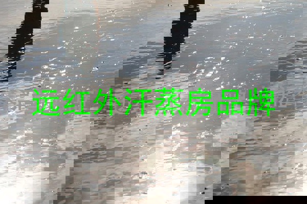远红外汗蒸房品牌