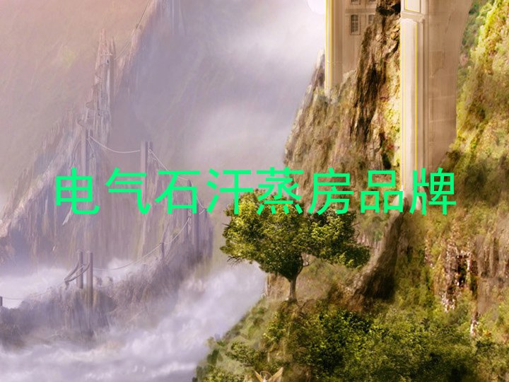 电气石汗蒸房品牌
