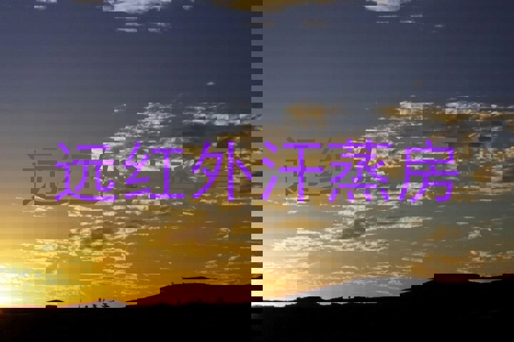 远红外汗蒸房
