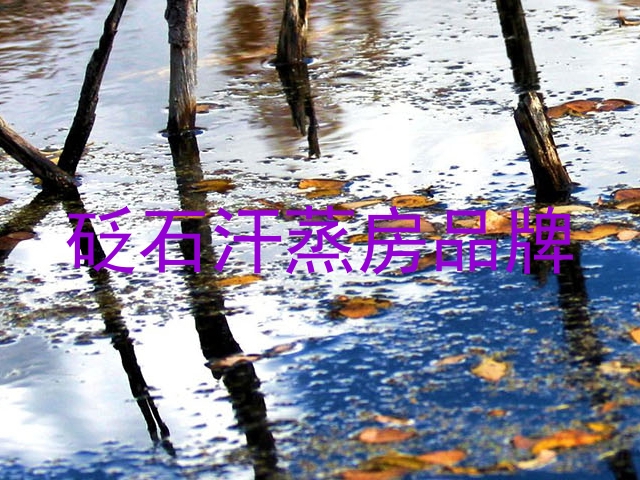 砭石汗蒸房品牌