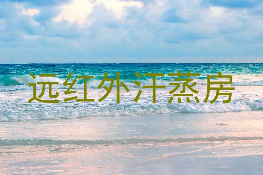 远红外汗蒸房