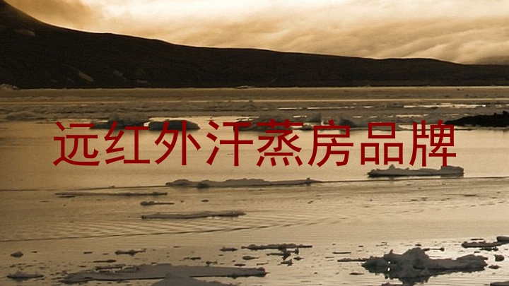 远红外汗蒸房品牌
