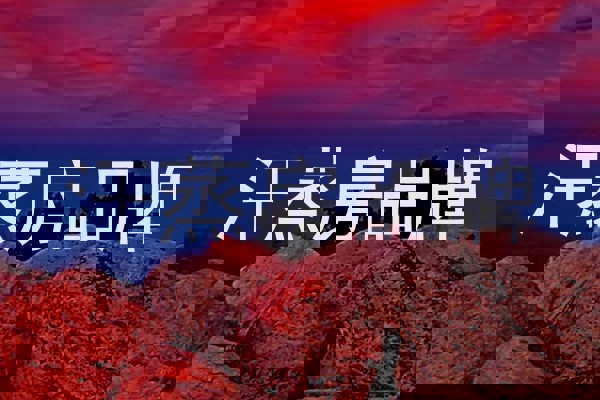 汗蒸房品牌