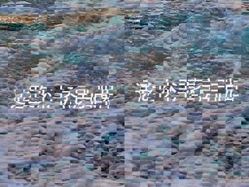 远红外汗蒸房品牌