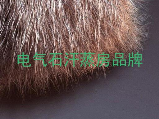 电气石汗蒸房品牌
